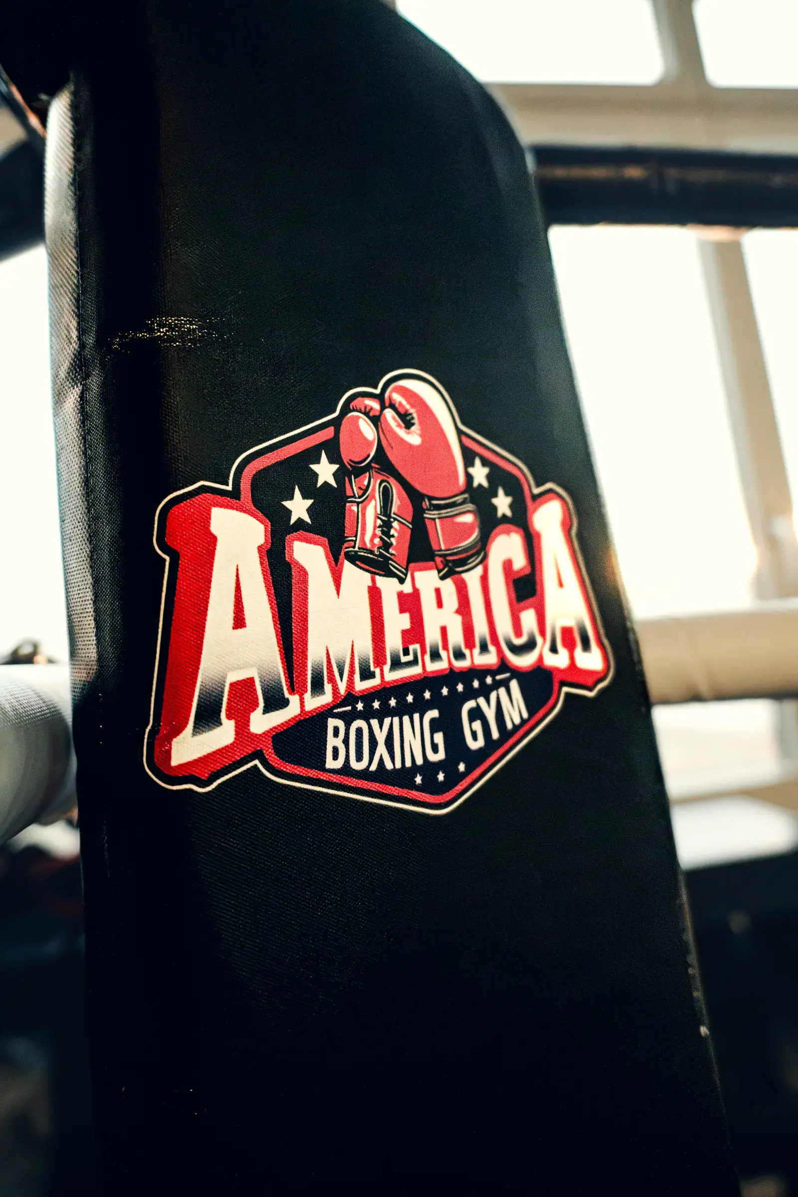 Close-up of the America Boxing Gym crest, with red boxing gloves and stars, on the black corner pad.
